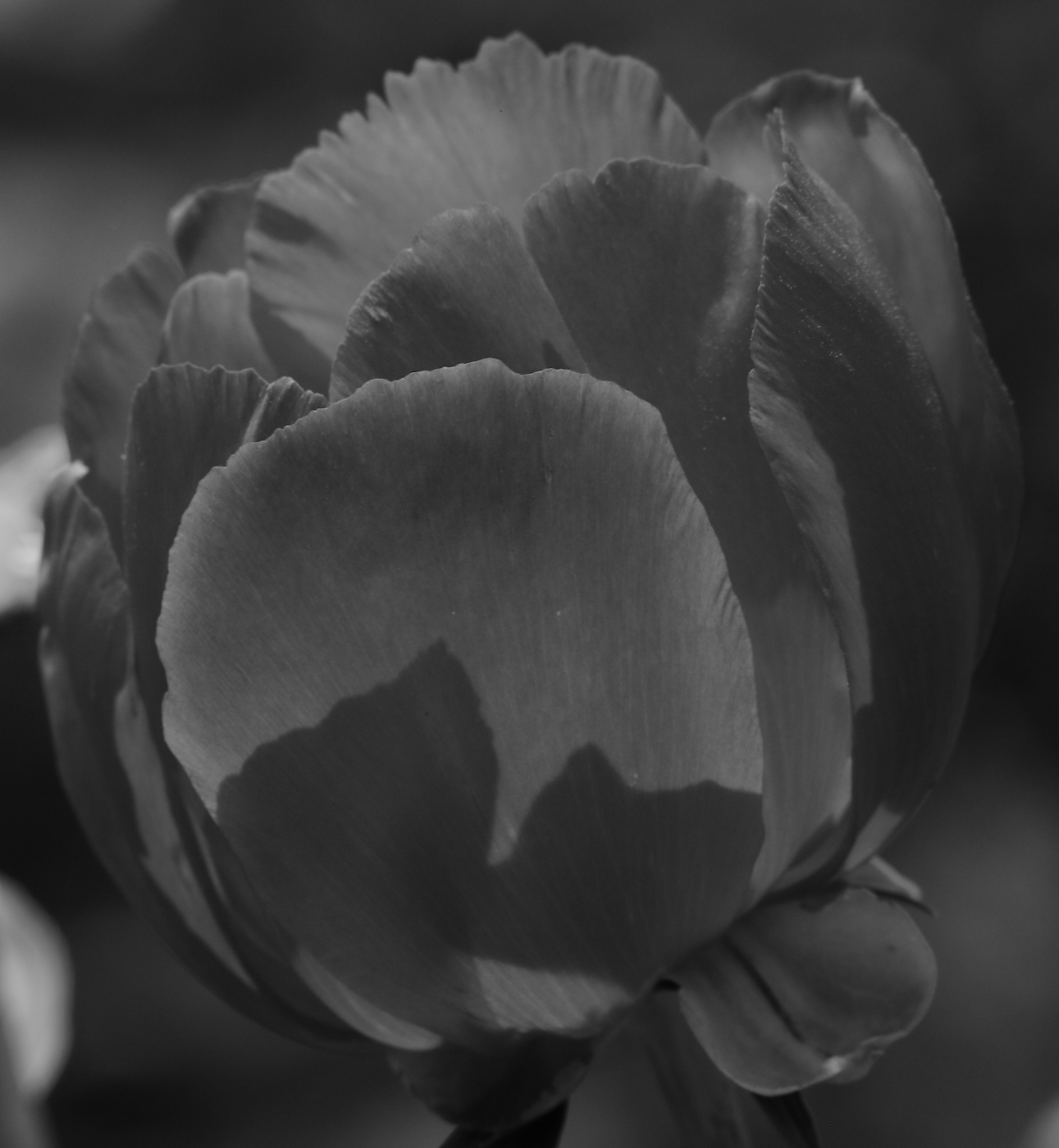 2019 06 02 HTP 50477ebw